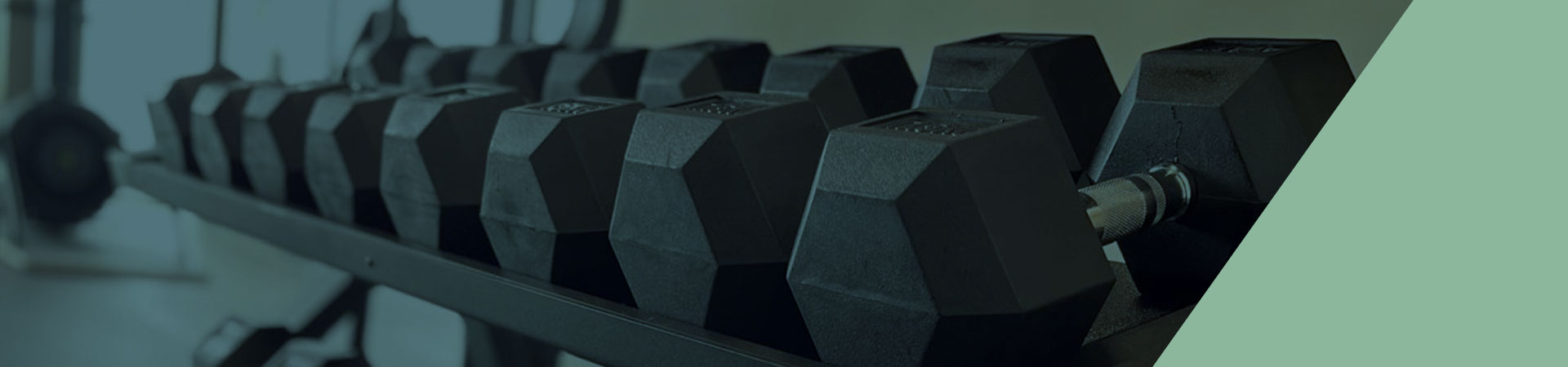 blog sinapse com logo do estudio